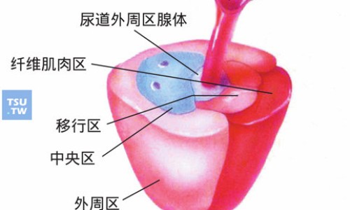 美唯宁枸橼酸莫沙必利胶囊作用-美唯宁枸橼酸莫沙必利胶囊图片网 | 美唯宁枸橼酸莫沙必利胶囊说明书,美唯宁的功效与作用